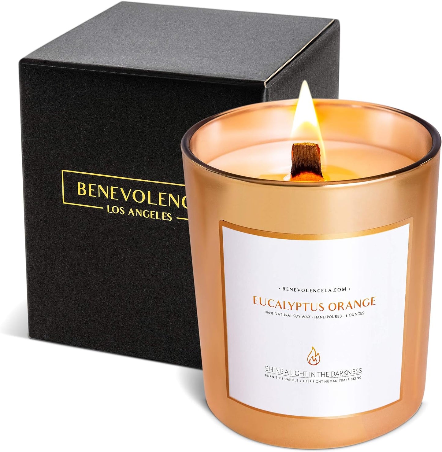 Benevolence Candles Eucalyptus Orange Wood Wick Candles, Soy Scented Candles for Women | 8 Oz Scented Candles for Home Scented | Eucalyptus Candles | Christmas Candles | Men Candles, Bathroom Candle